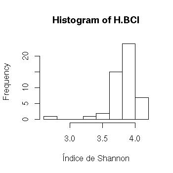 bci01.jpg